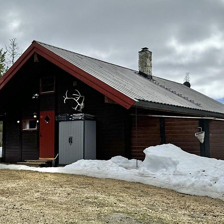 Koselig Hytte Med Usjenert Og Solrik Beliggenhet Geilo Eksteriør billede