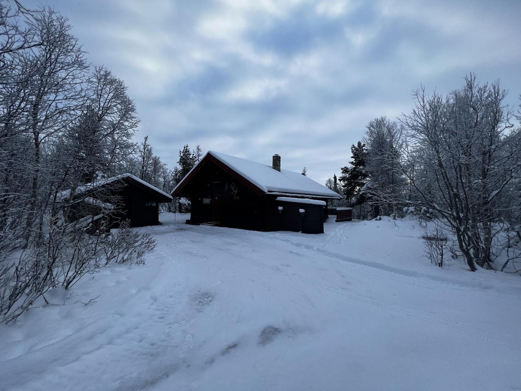 Koselig Hytte Med Usjenert Og Solrik Beliggenhet Geilo Eksteriør billede