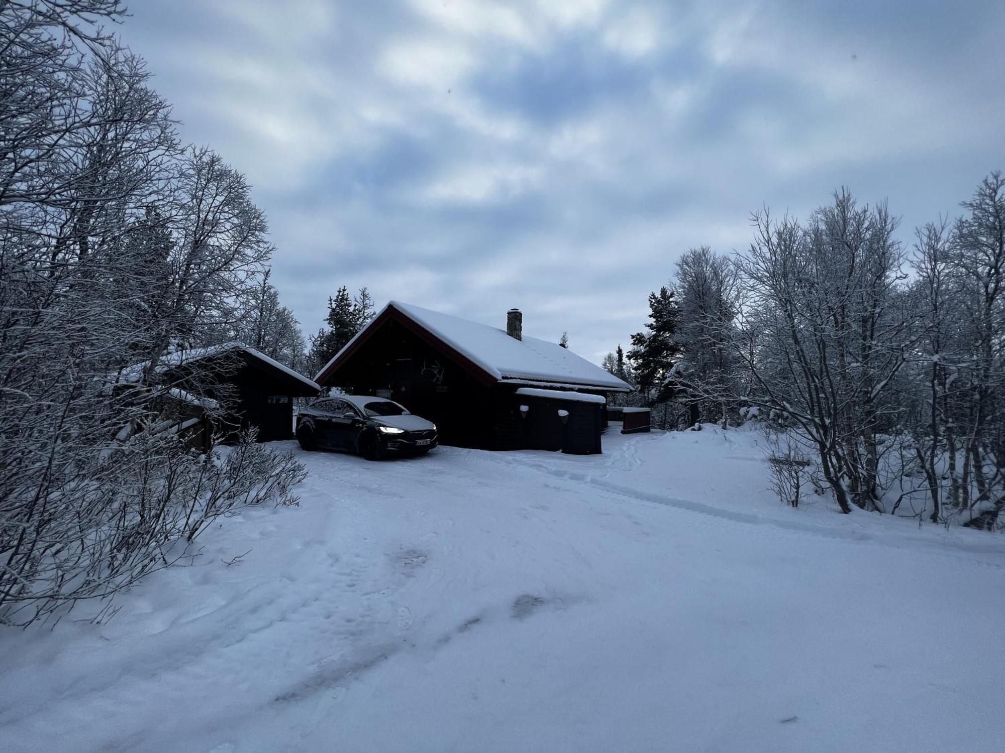 Koselig Hytte Med Usjenert Og Solrik Beliggenhet Geilo Eksteriør billede